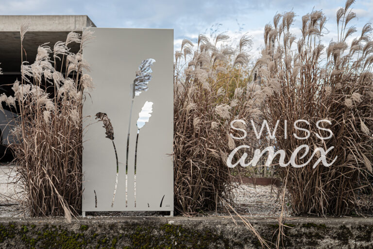 Panneau brise-vue Swiss Amex